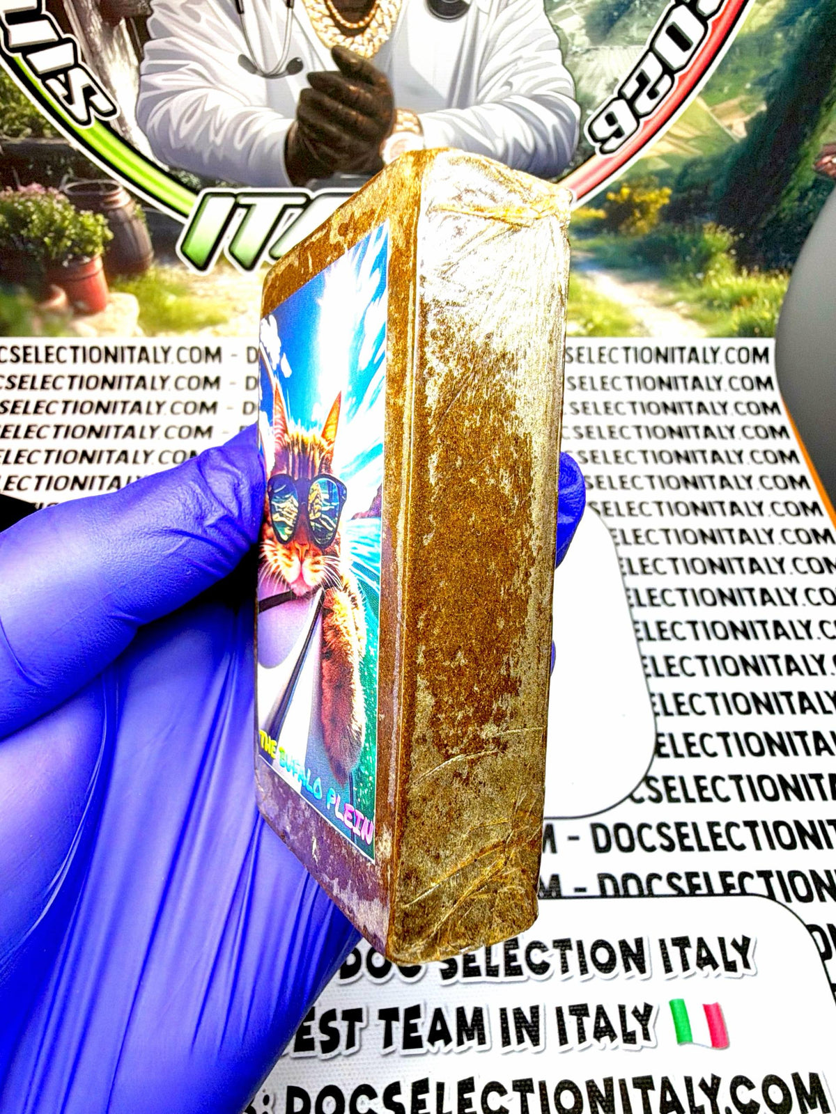 BLUEBERRY JUICE  - “Dry work” SUPERIOR GATTO SURFER Bufalo Plein