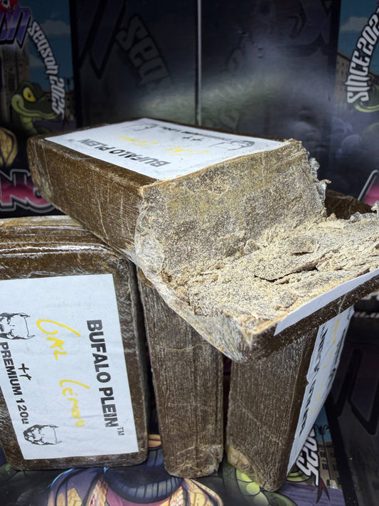 Premium Filtred 120u Bufalo Plein 2026 - GAZ LIME