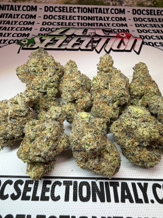 WHITE TRUFFLEZ - TOP Californiana Farmaceutica